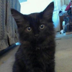 Meet your Posher, Kaleb